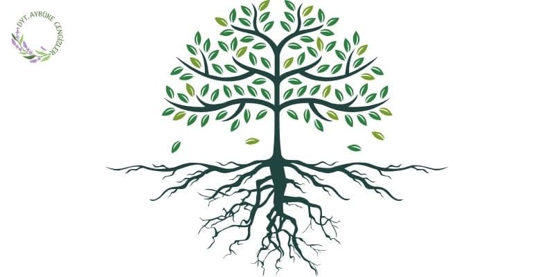 Fonksiyonel Beslenme